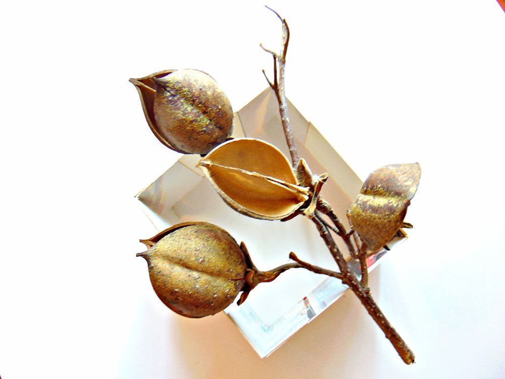 Photograph by Ольга Шевцова