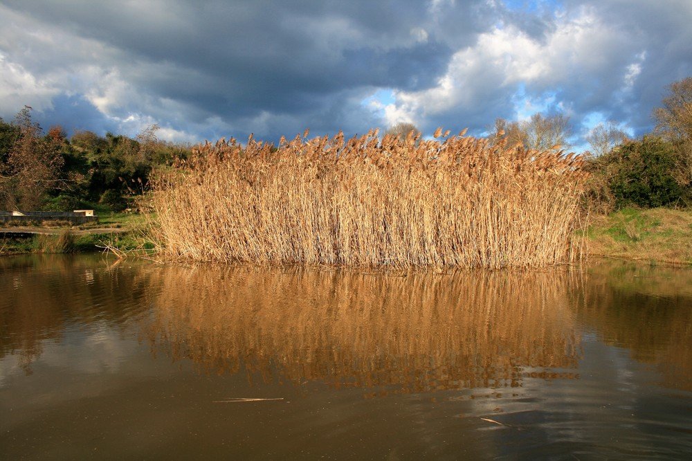 Photograph by Christos Makridimitris