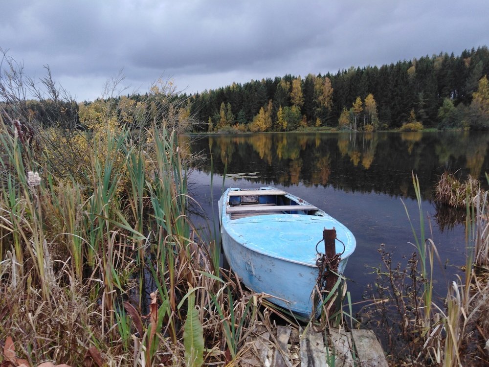 Photograph by Андрей Гончаров