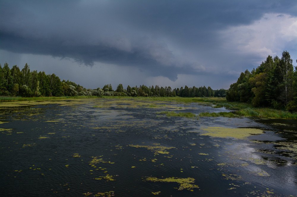 Перед грозой