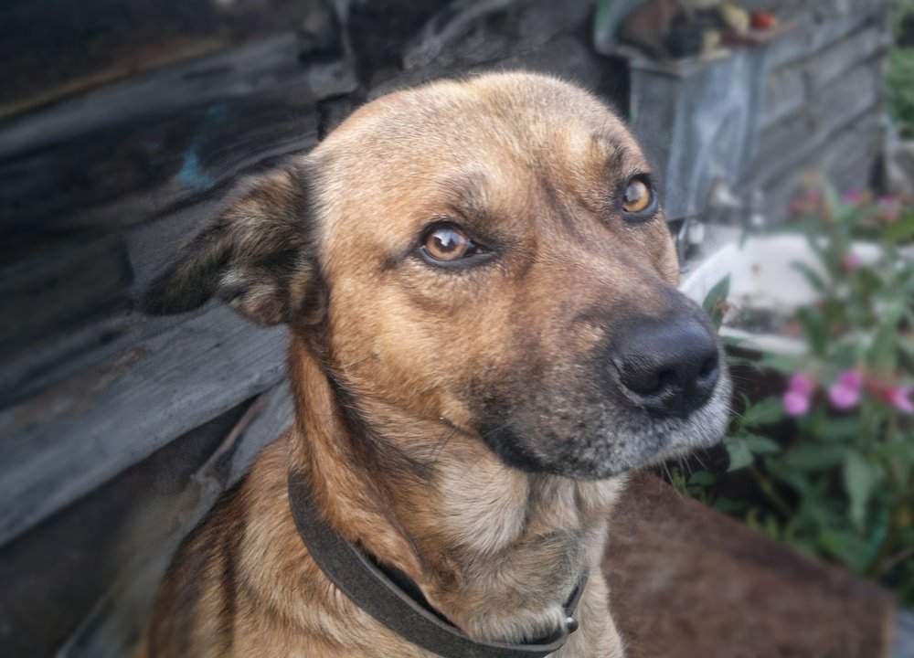 Мой друг Gray.