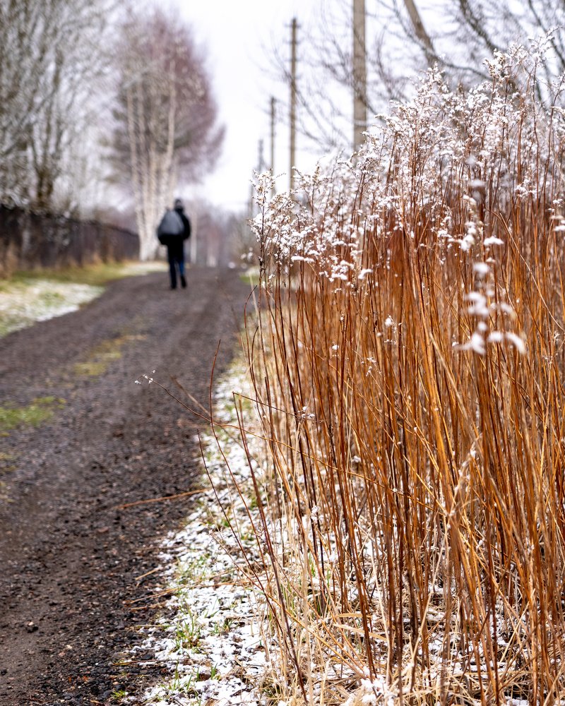 Photograph by Галина Аскольдовна Луковникова