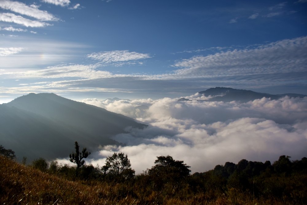 Photograph by Arnab Pal