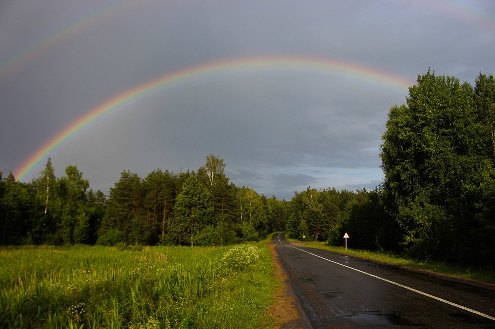После дождя