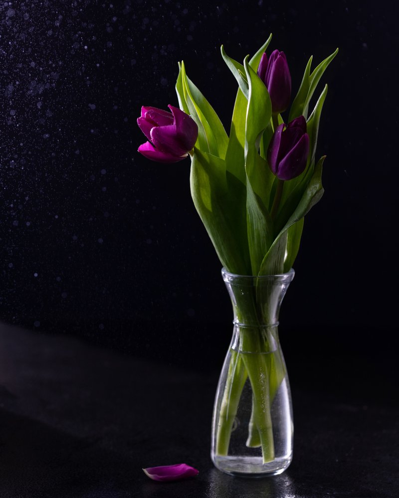 Photograph by Любовь Тернова