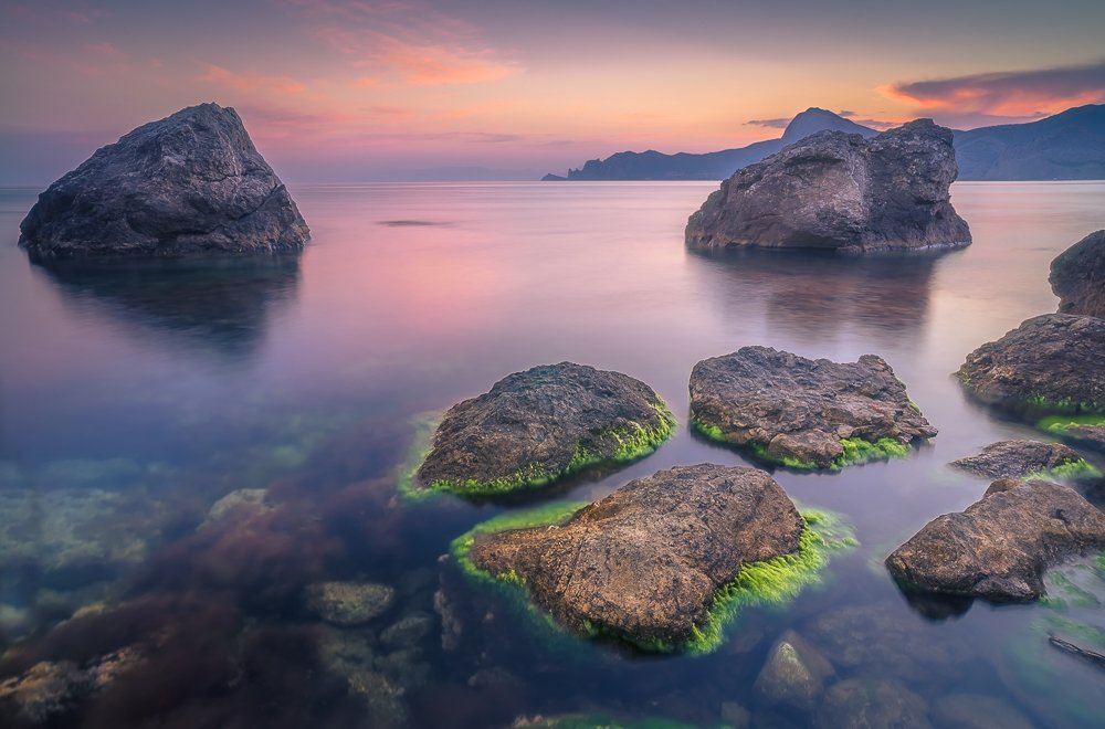 Фотография автора Светлана Морозова