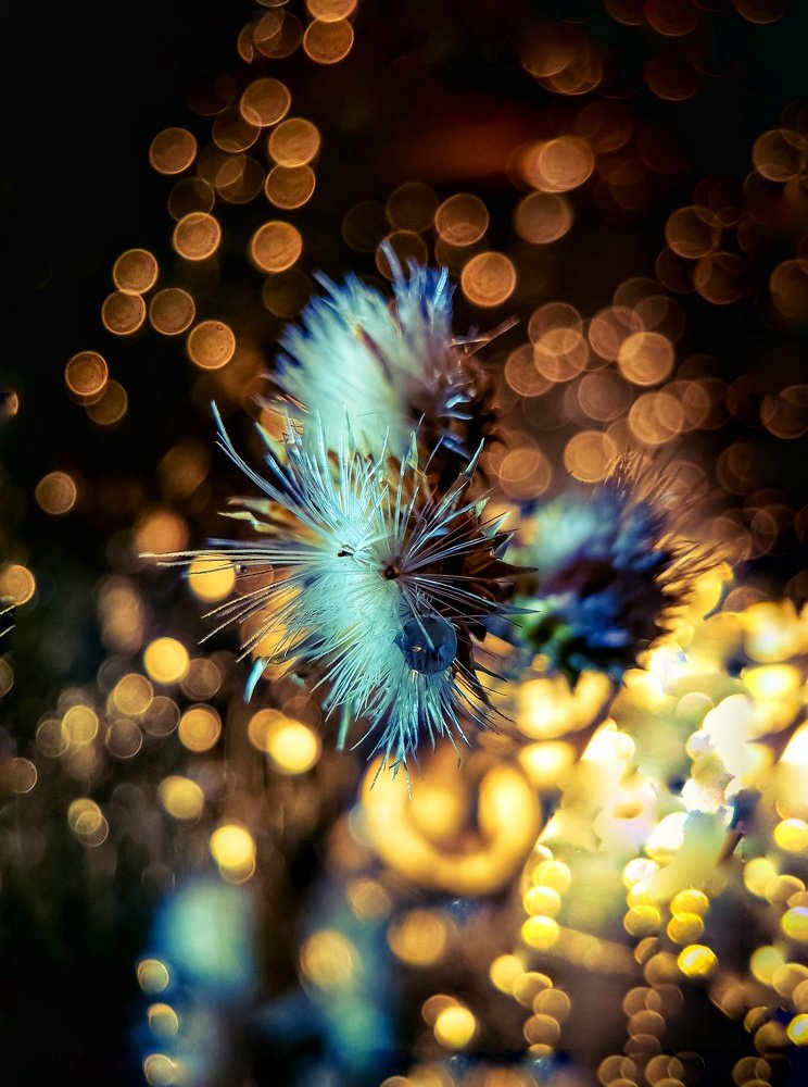 Photograph by Анастасия Винокурова