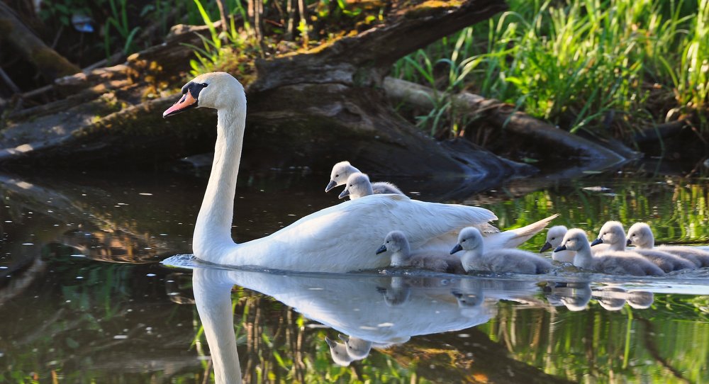 Фотография автора Антип