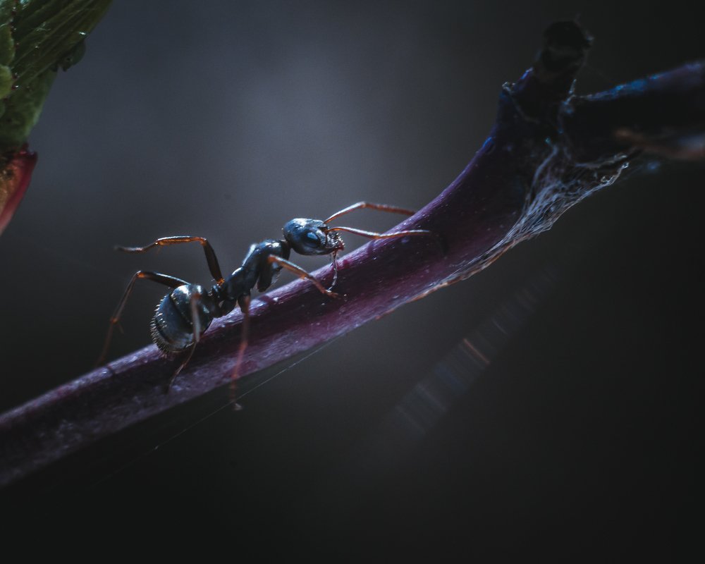 Photograph by Динара Зуйкова