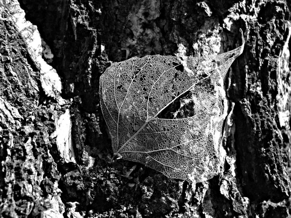 Фотография автора Павел Попов