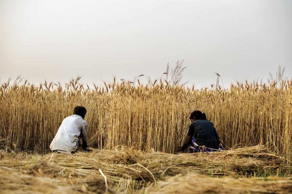 Photograph by Amit Rawal