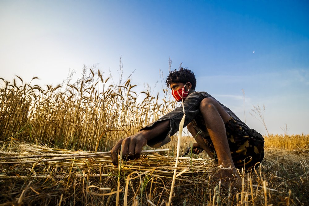 Photograph by Amit Rawal