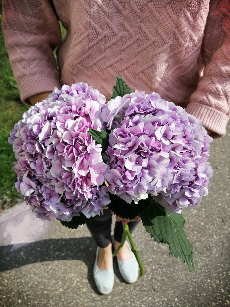 Photograph by Ольга Деньгина
