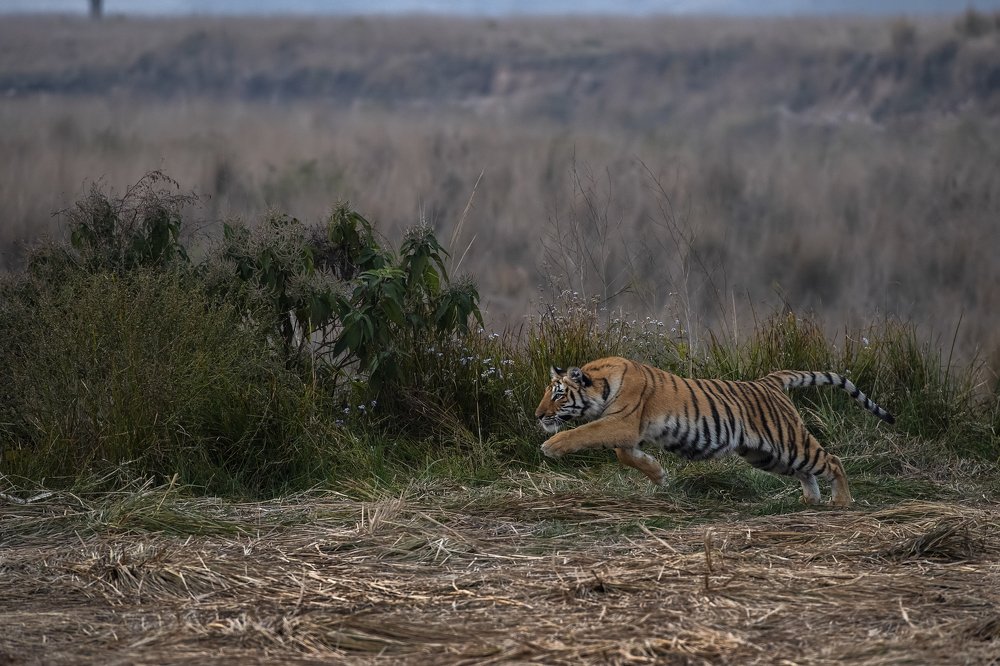 Photograph by Jitender Govindani