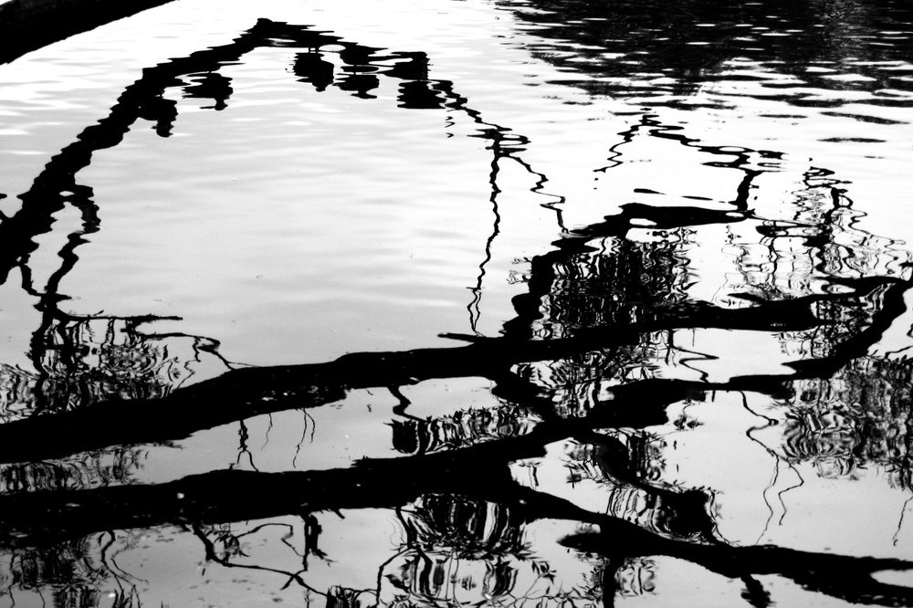 Photograph by Alina Zhilina