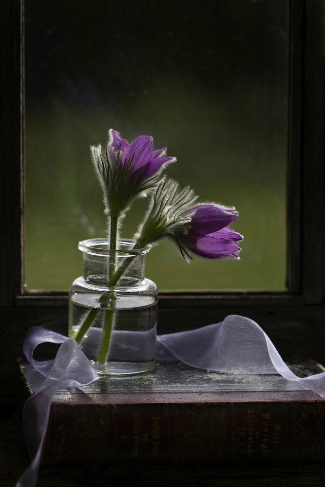 Photograph by Sonata Žemgulienė