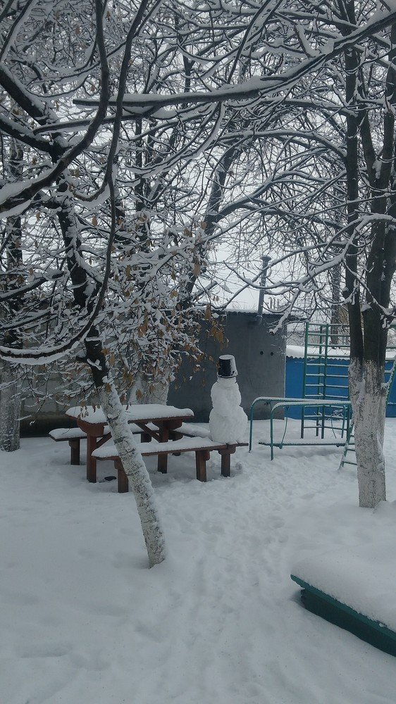 Photo #4530763