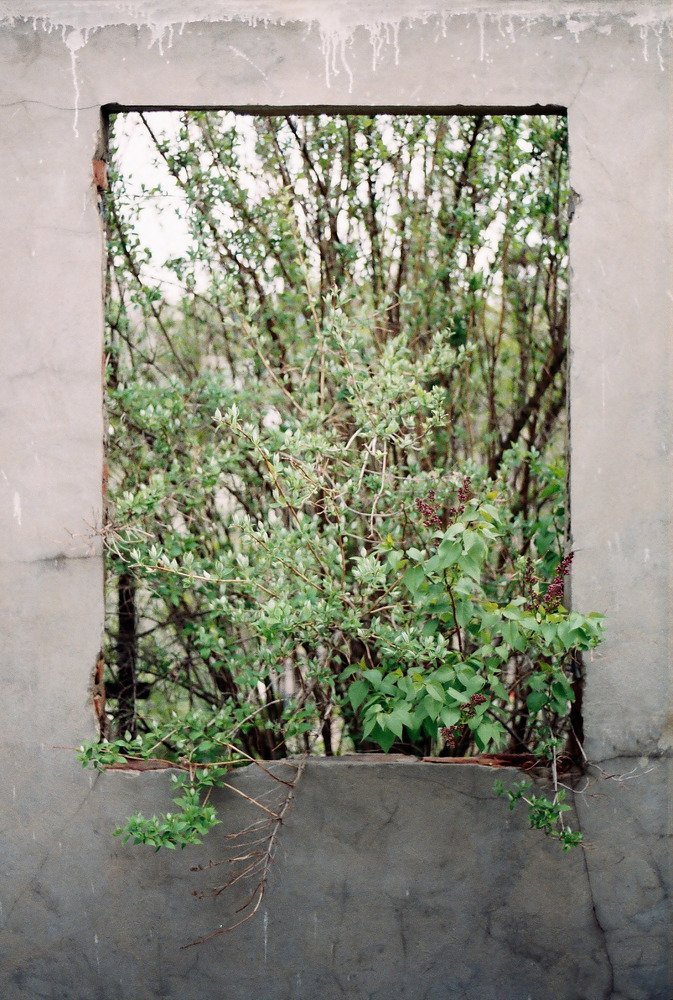 Photograph by Илья Сомпремула