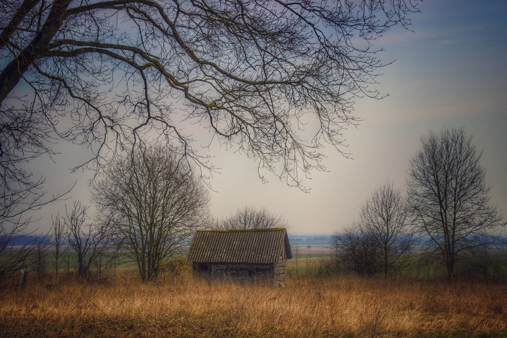 Photograph by 