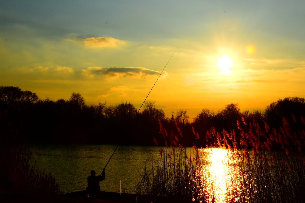 Photograph by Mesaros Cila