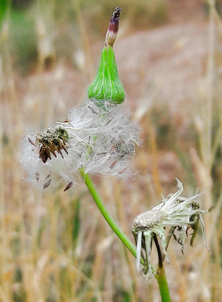 Photograph by Mozhgan Fotouhi