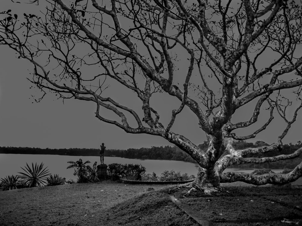 Photograph by pouyan safavi