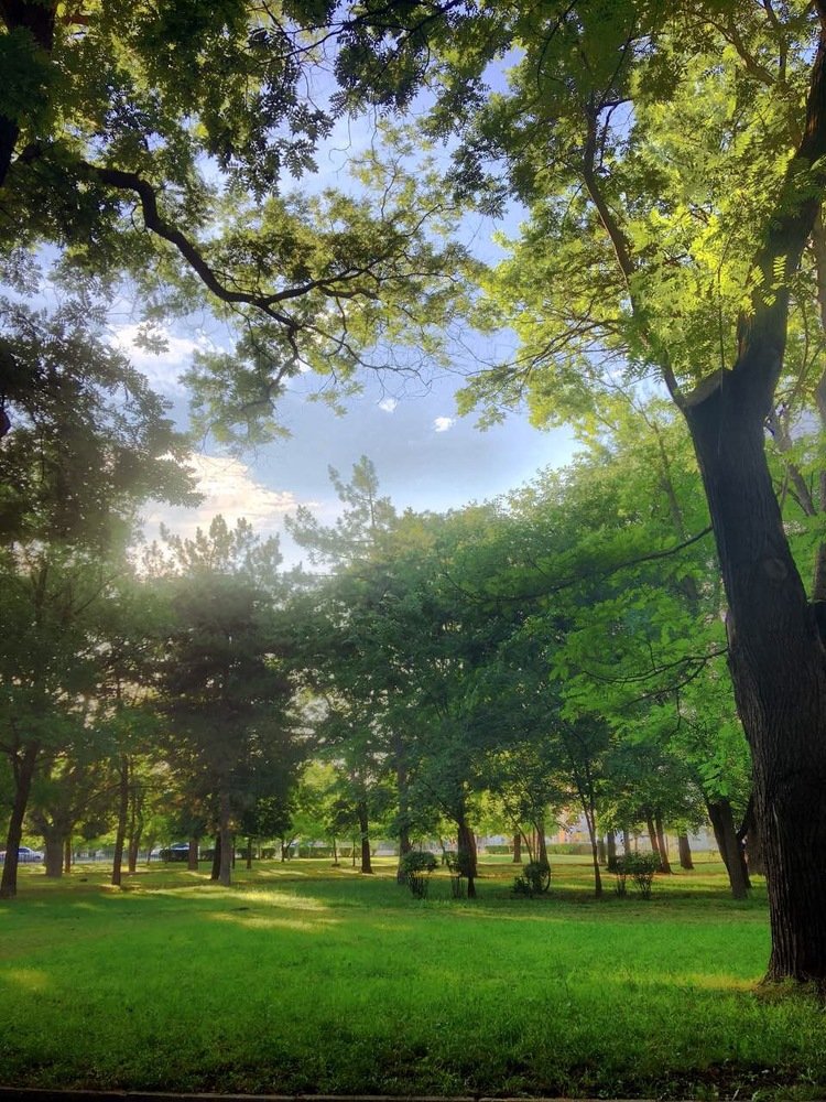 Сияние парка / Radiance of the Park