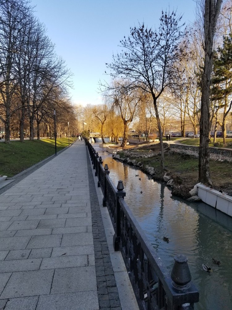Смотря в даль / Looking into the distance