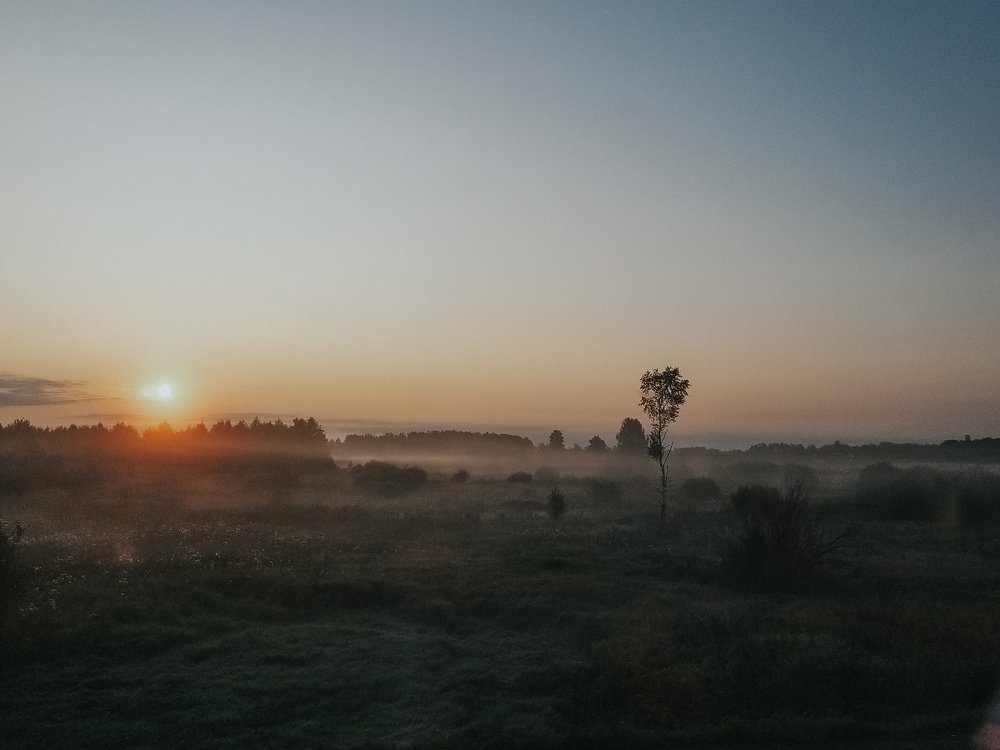 Photo #4531099