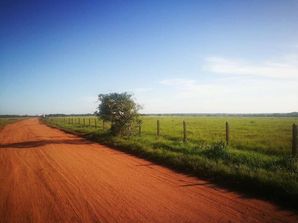 Photograph by YESID CASTRO