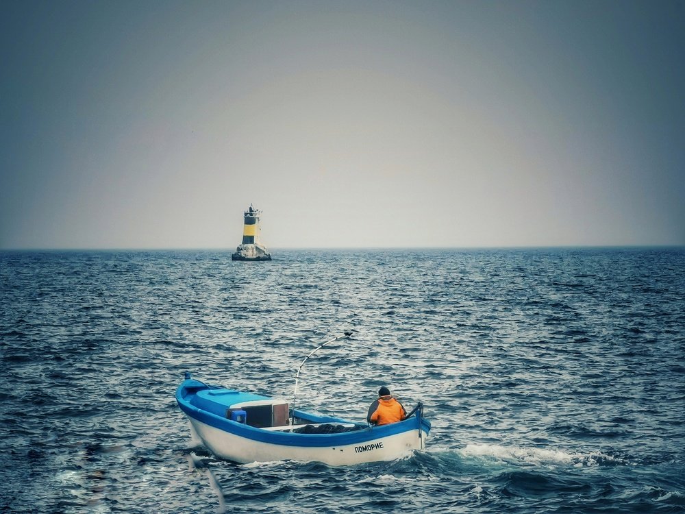 Photograph by Georgi Tomov