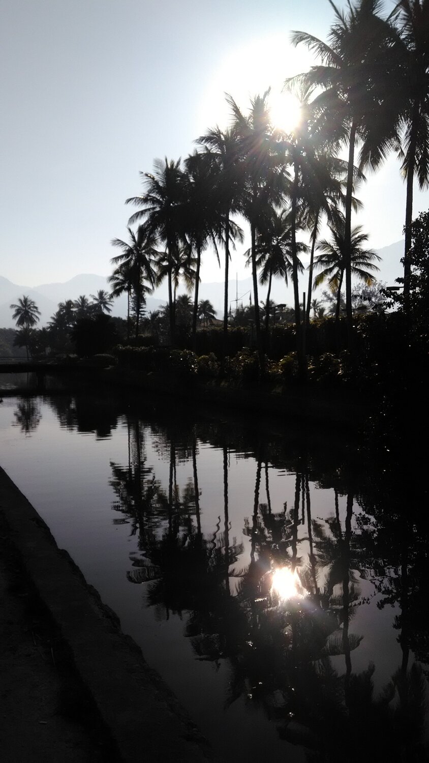 Photo #4531161