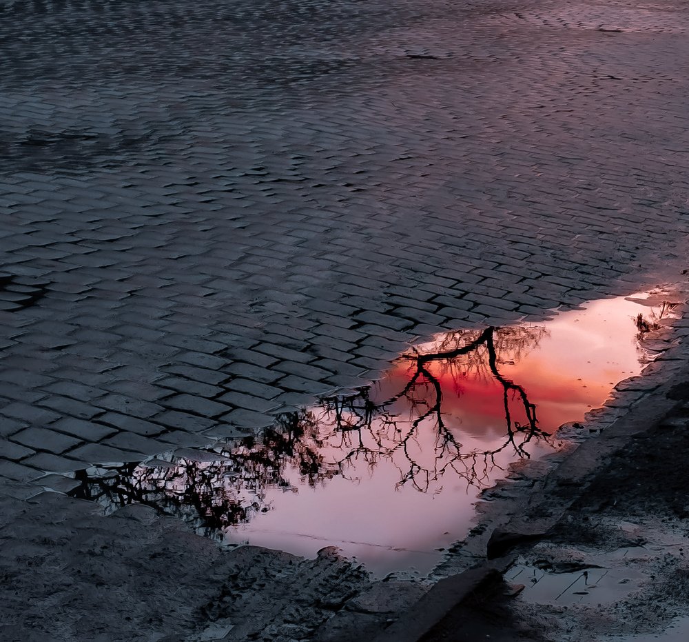 Photograph by Станислав Сычик