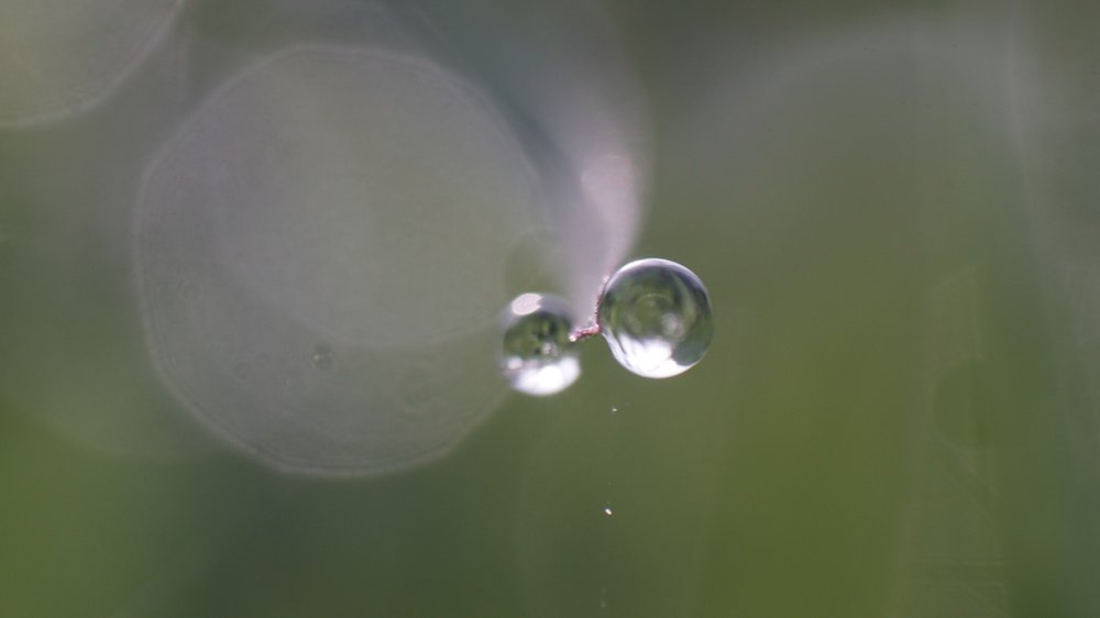 Photograph by phantoms thief