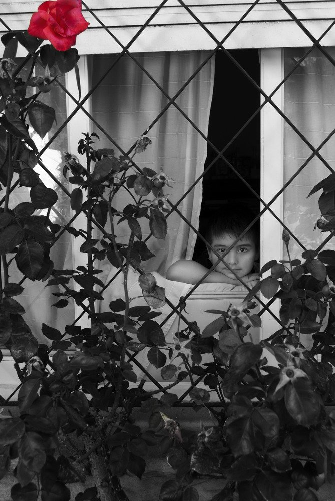 Photograph by Julia Alvarez