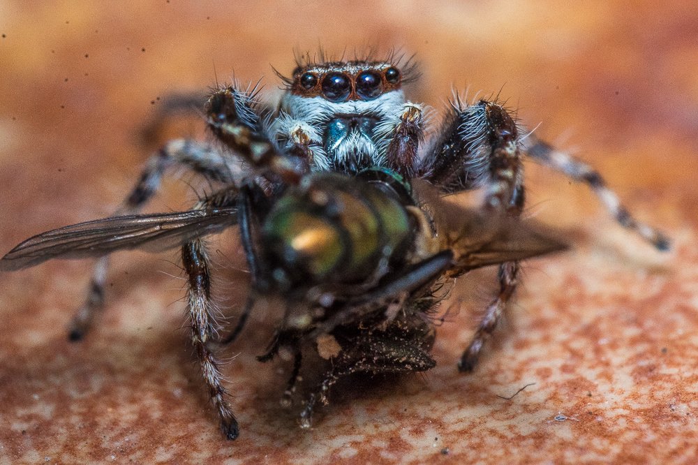 Photograph by Jorge Iván García Hernández