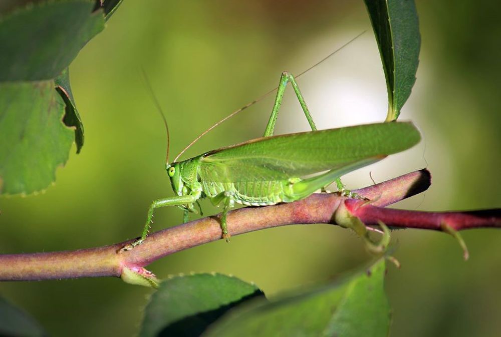 Photograph by Alexandr Dimitrov
