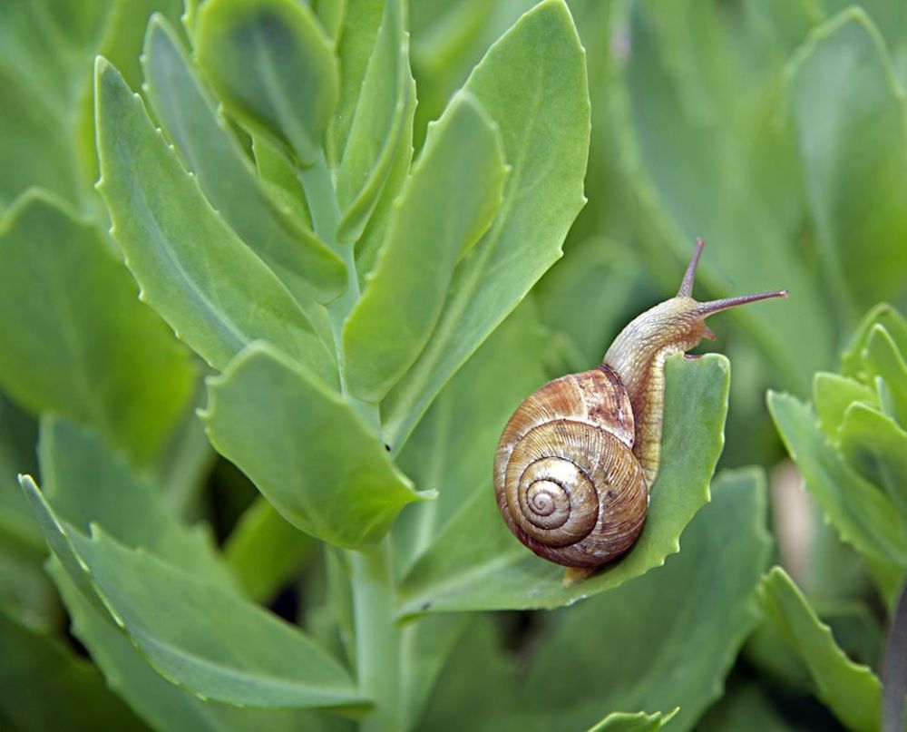 Photograph by Alexandr Dimitrov