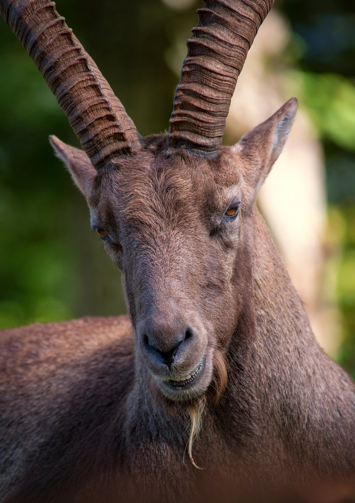 Фотография автора Liviu Ciprian Hiticas