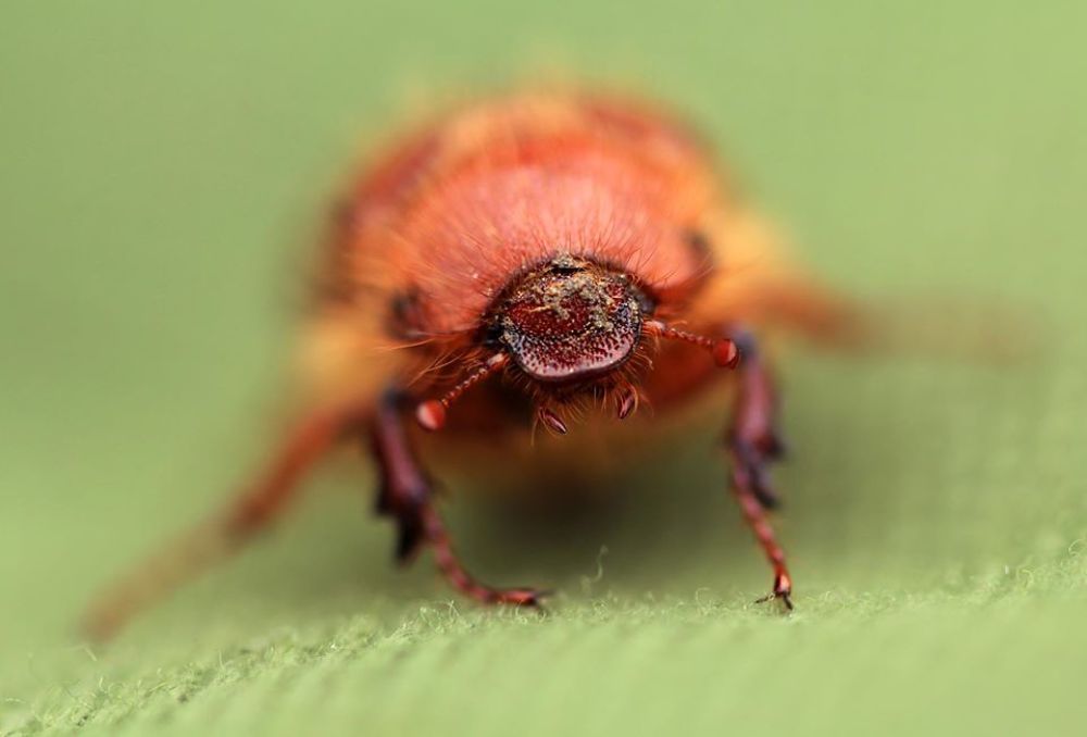 Photograph by Alexandr Dimitrov