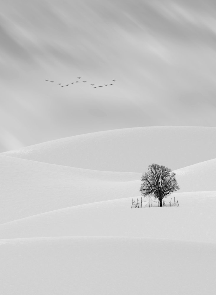 Photograph by Sherzad Rostamdost