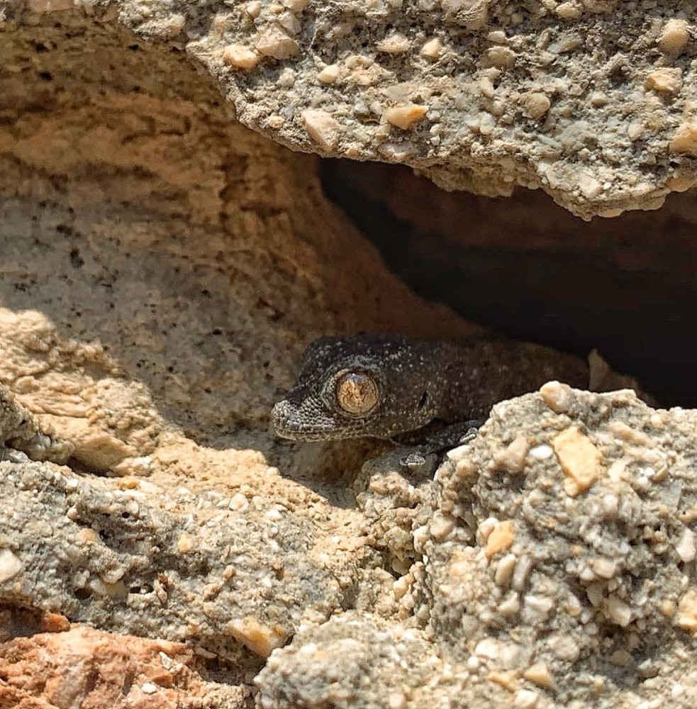 Photograph by Natasha Efanova