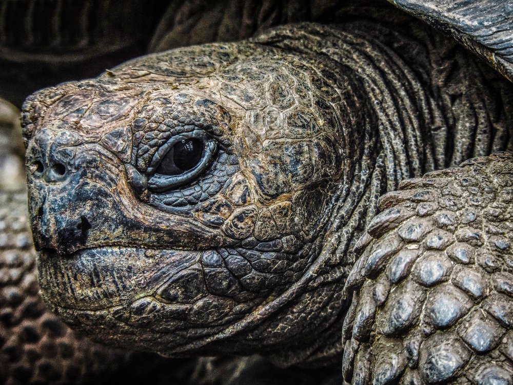 Photograph by Oscar Montero