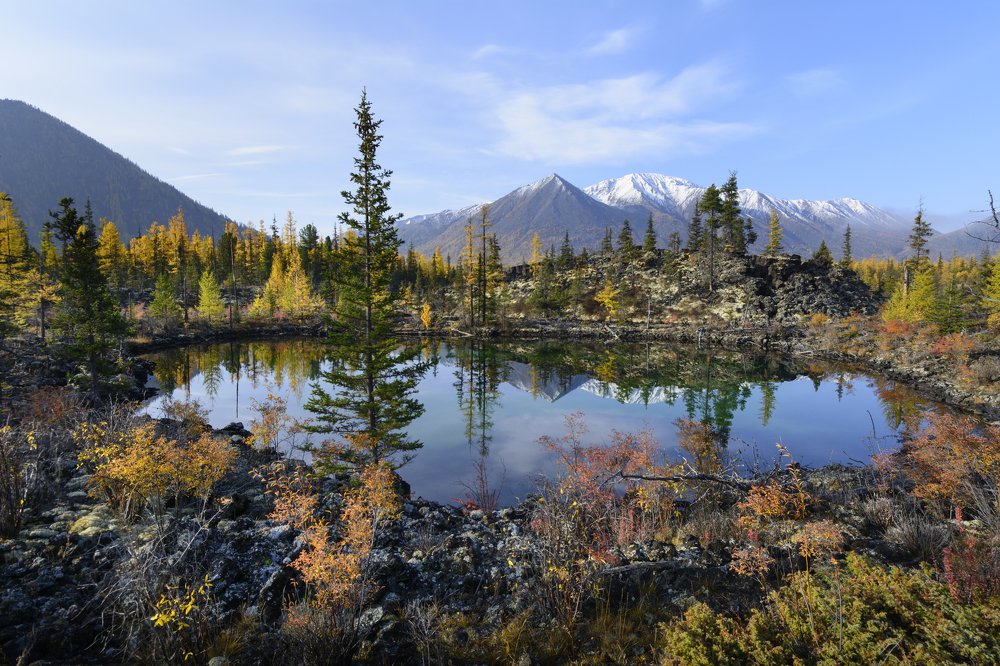 Photograph by Елена Вторушина