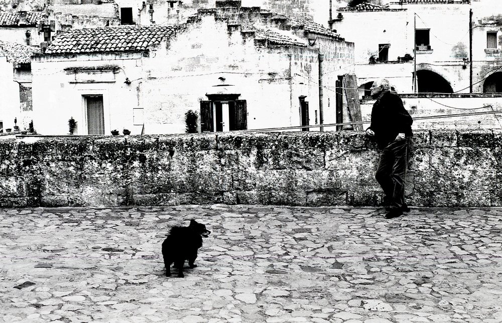 Фотография автора Maurizio Ferrante