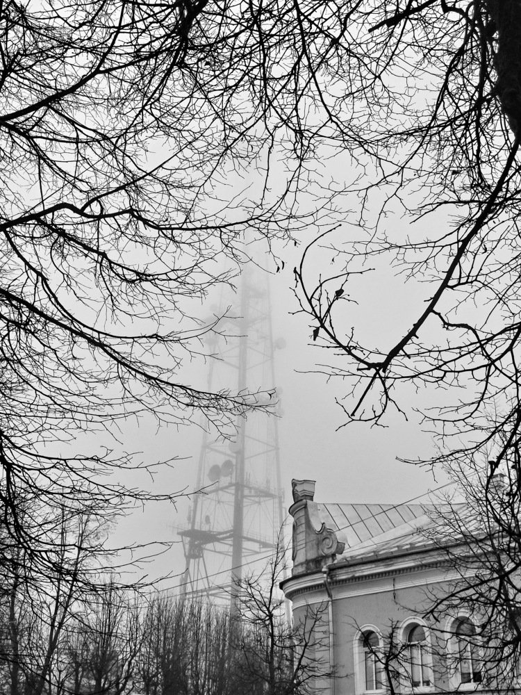 Photograph by Вероника Ратникова