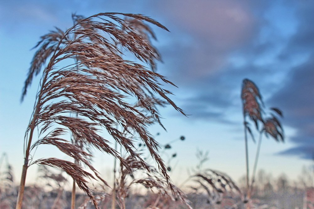 Photograph by Вероника Ратникова