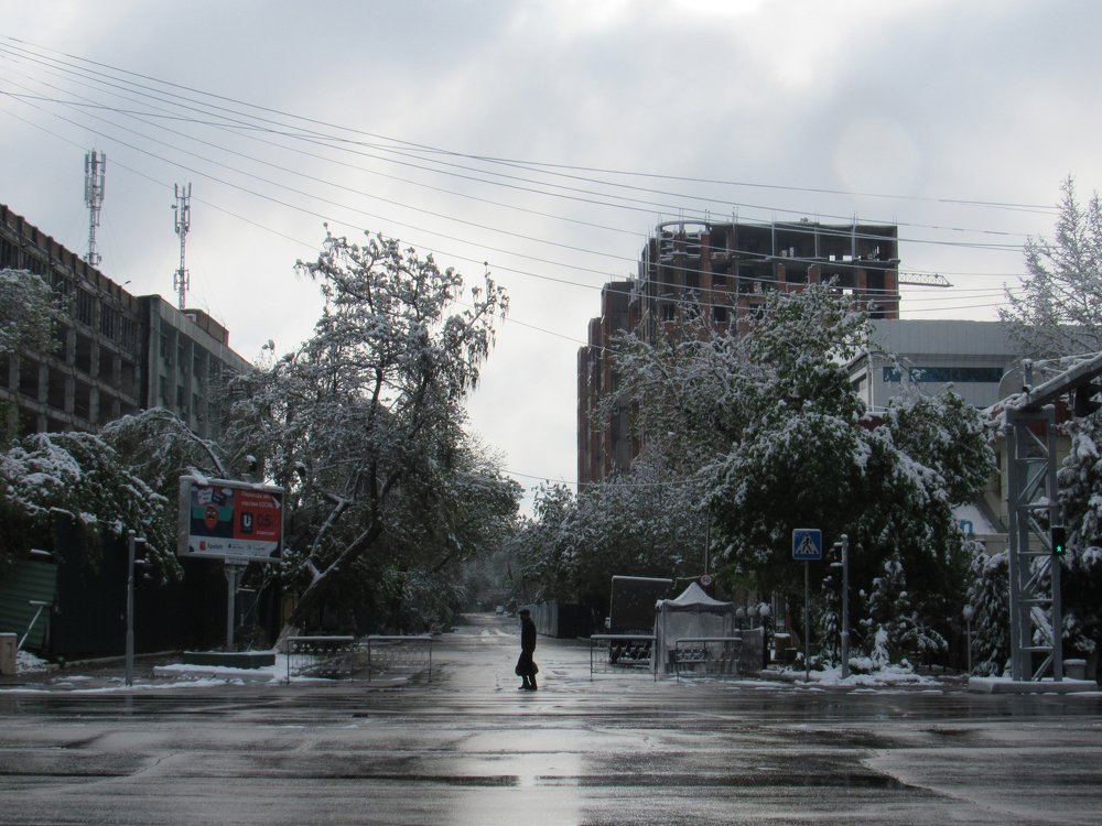 Photograph by Фотима Абдурахманова