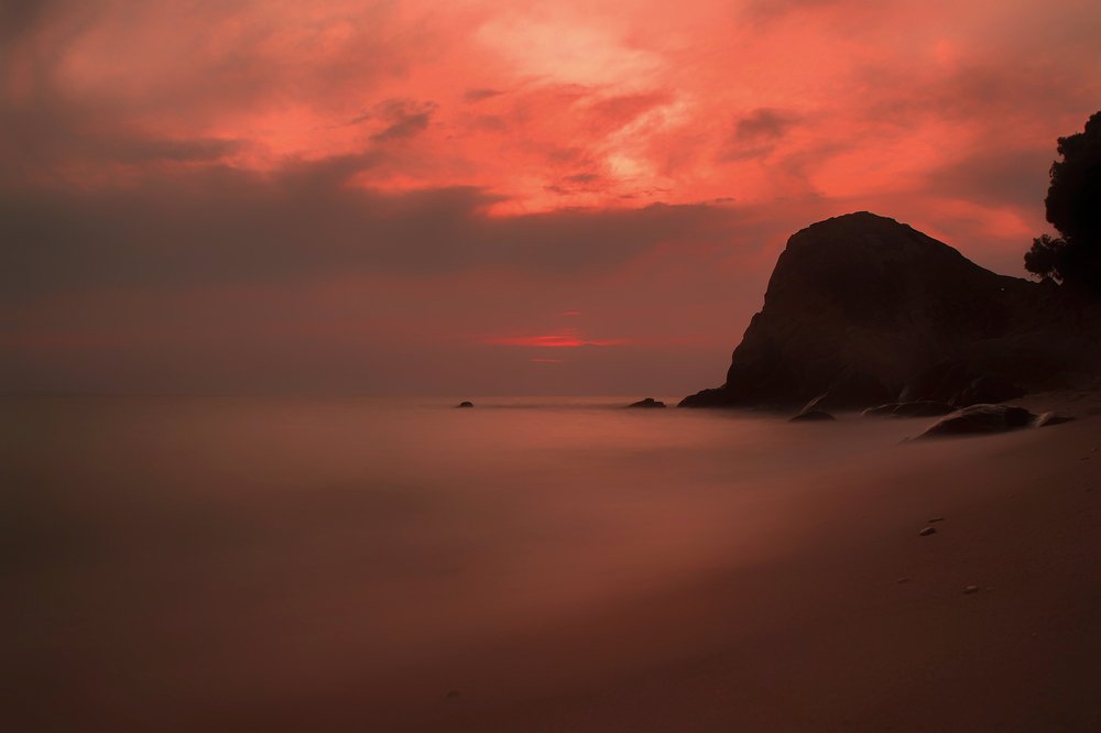 Photograph by Costin Motea