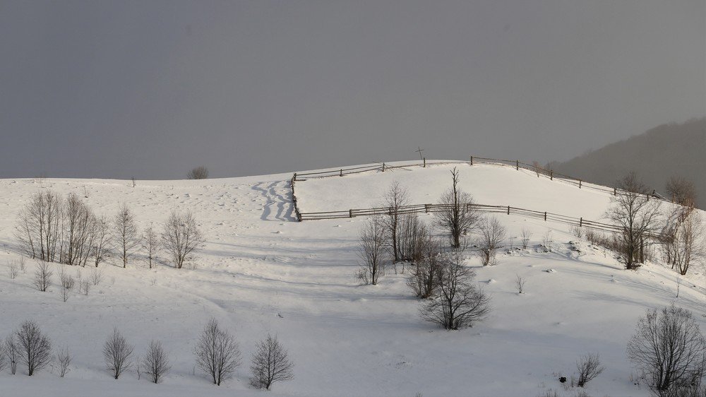 Photograph by Андрей Телибаев